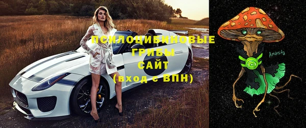 прущая мука Тольятти