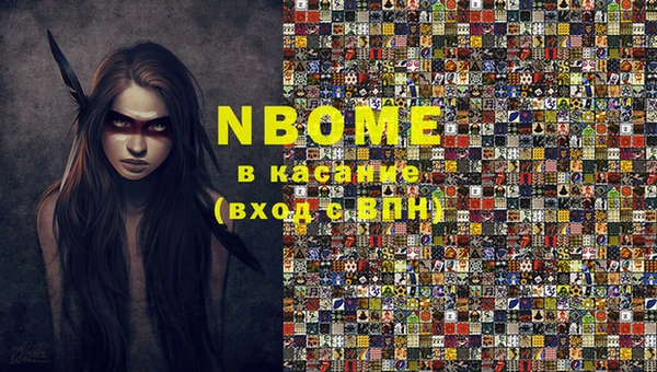 прущие грибы Чита