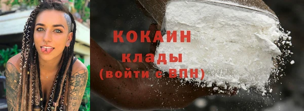 стаф Архангельск