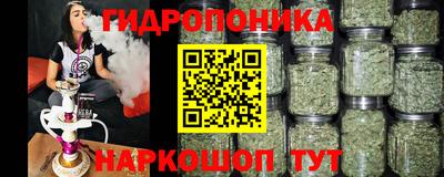 марихуана Аргун