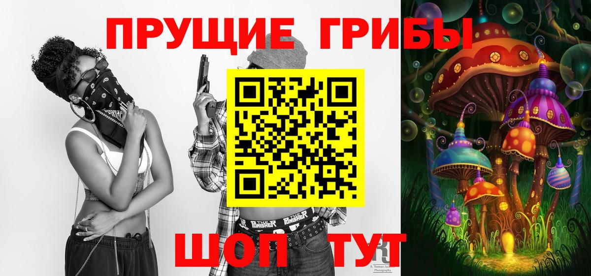 Ачинск  Псилоцибиновые грибы Psilocybe  Вход с VPN 